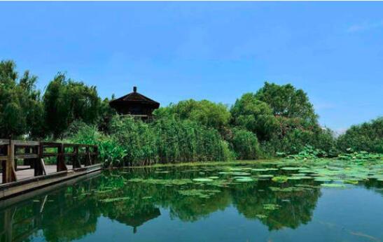 城市園林綠化養(yǎng)護的前景展望